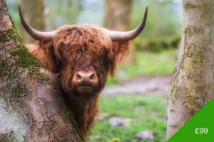 Peak District Experiences
