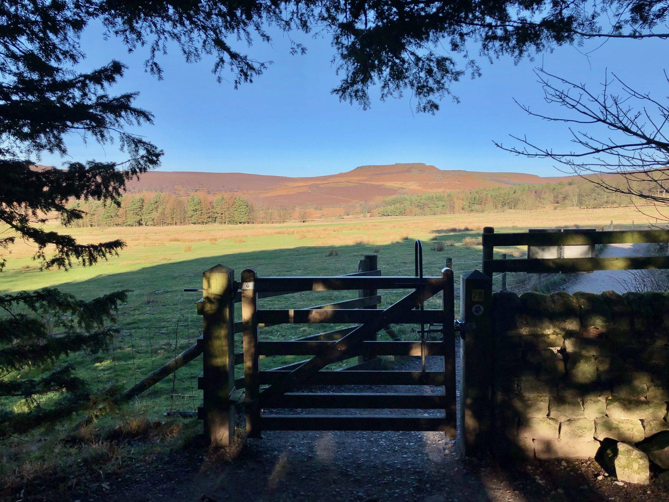 Longshaw