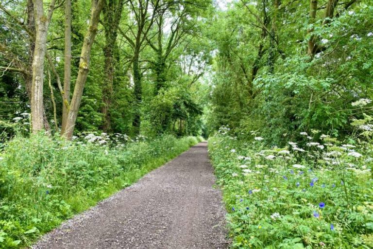 The Tissington Trail in Ashbourne, Peak District