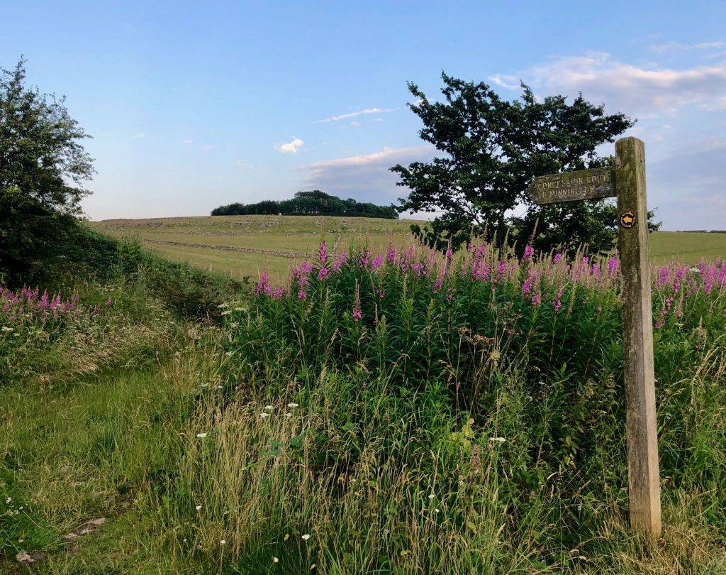 Minninglow Walk