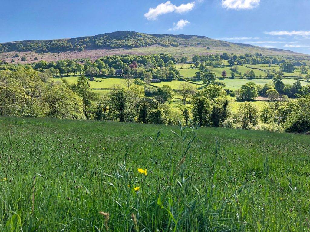 Bamford Edge