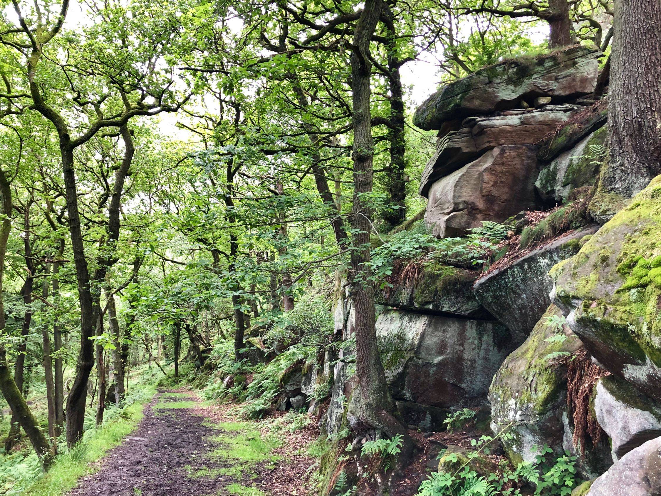 Amazing Train Station Walk Padley Gorge and Surprise View (4.5 miles) 4 ...