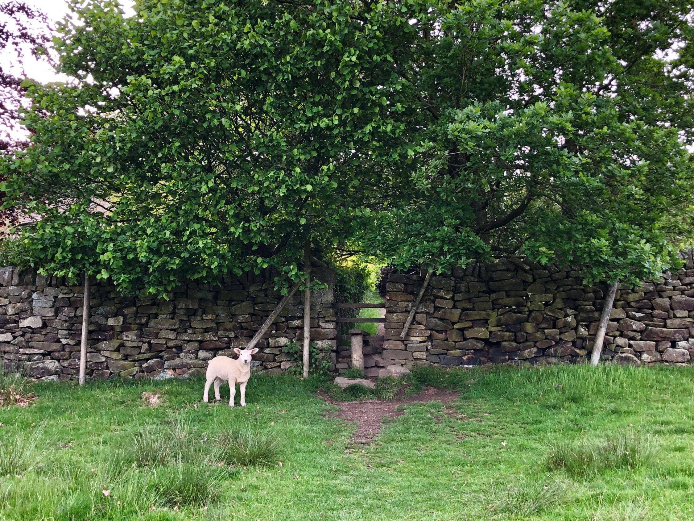 Amazing Hathersage and Stanage Edge Walk (6 miles)