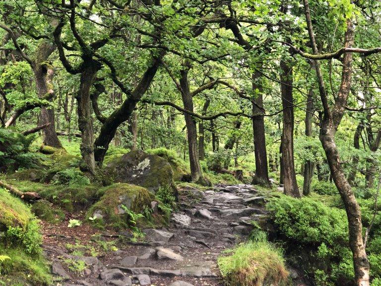 Padley Gorge and Surprise View (4.5 miles) near Beeley