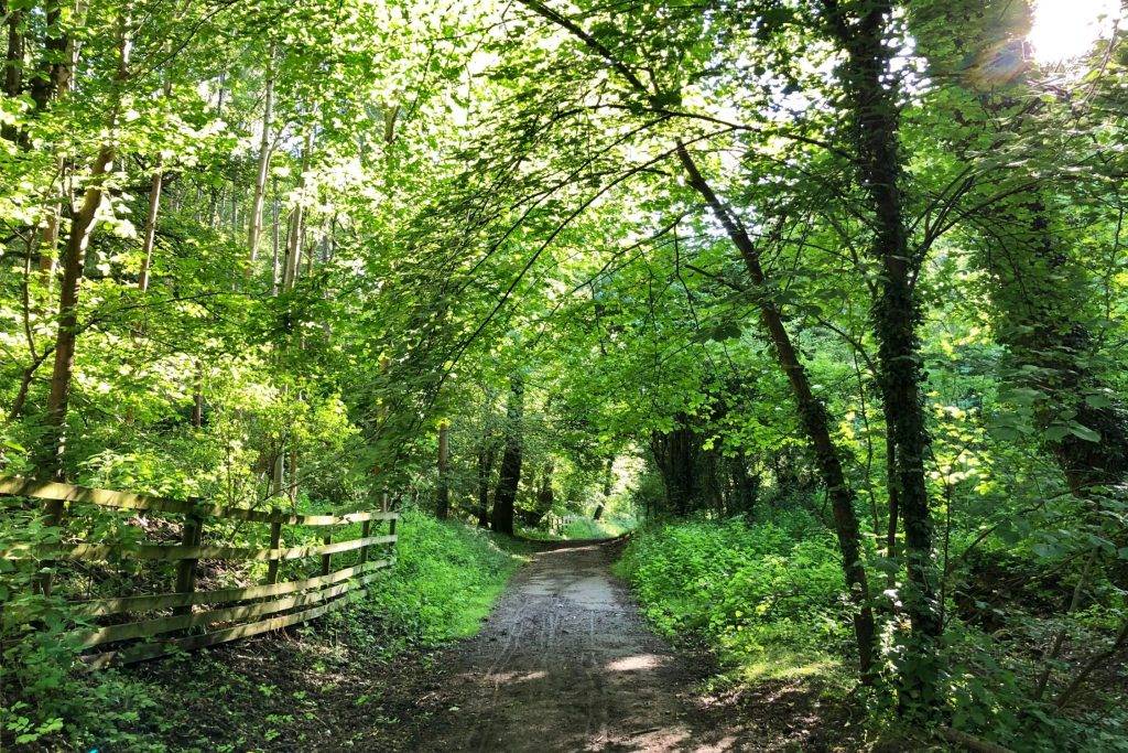 Stoney Middleton via Coombs Dale (4.75 miles) 1