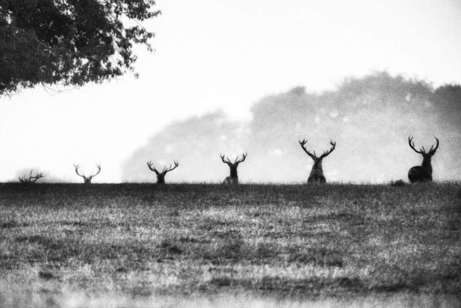 Villager Jim Peak District Photography Ambassador Let S Go