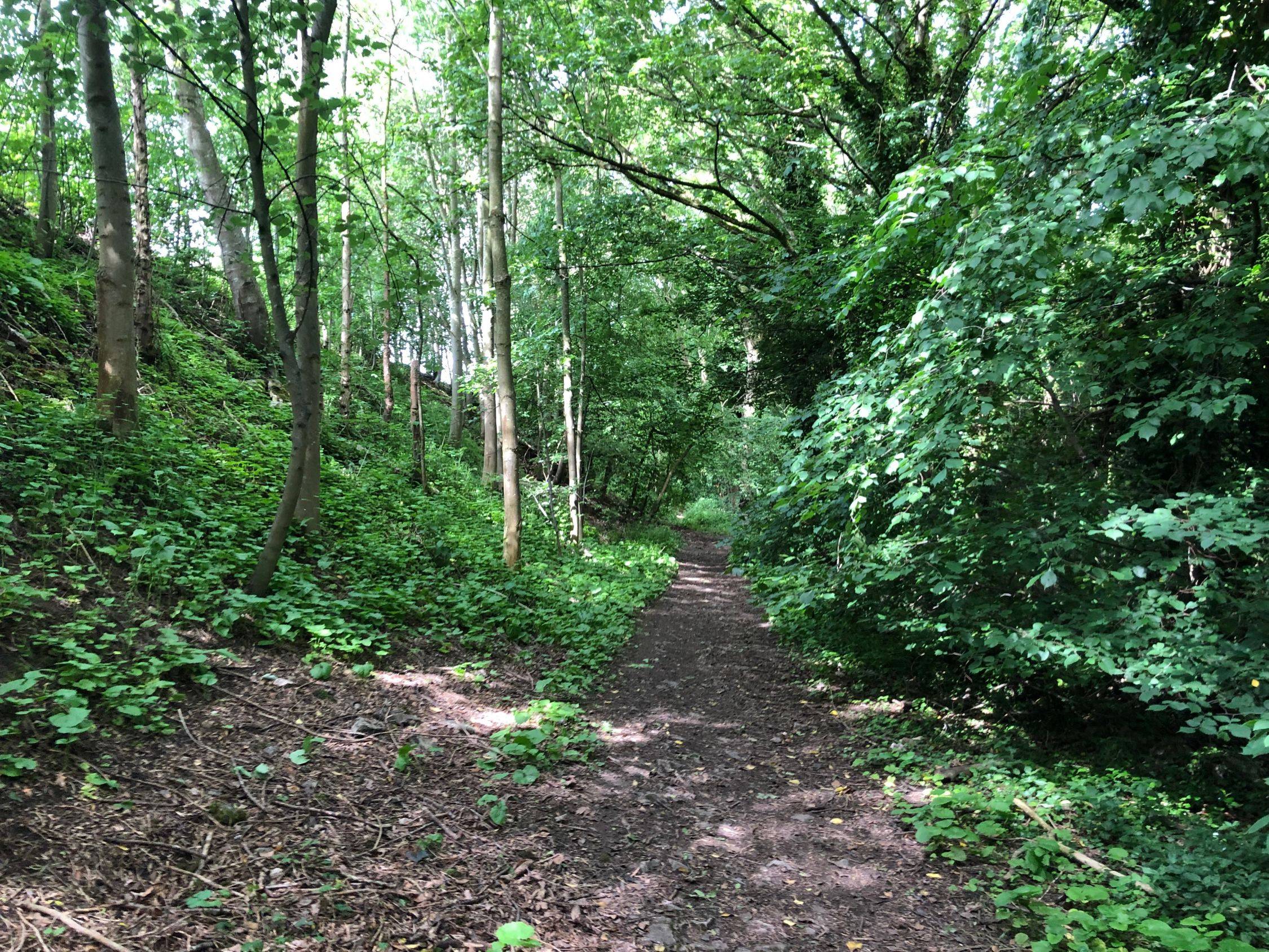 Bakewell via Ashford-in-the-Water (6 miles) - Lets Go Peak District