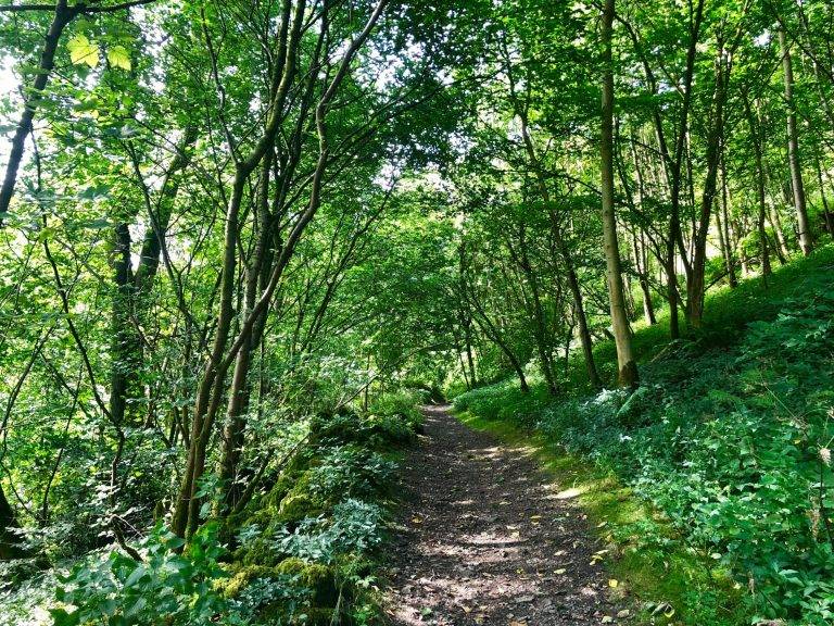 Beautiful Youlgreave Walk via Lathkill Dale (7 miles)