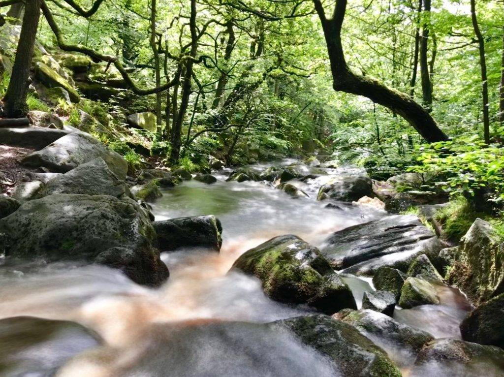 Padley Gorge