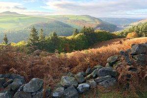 Derwent Edge (2.5 Miles) - Lets Go Peak District