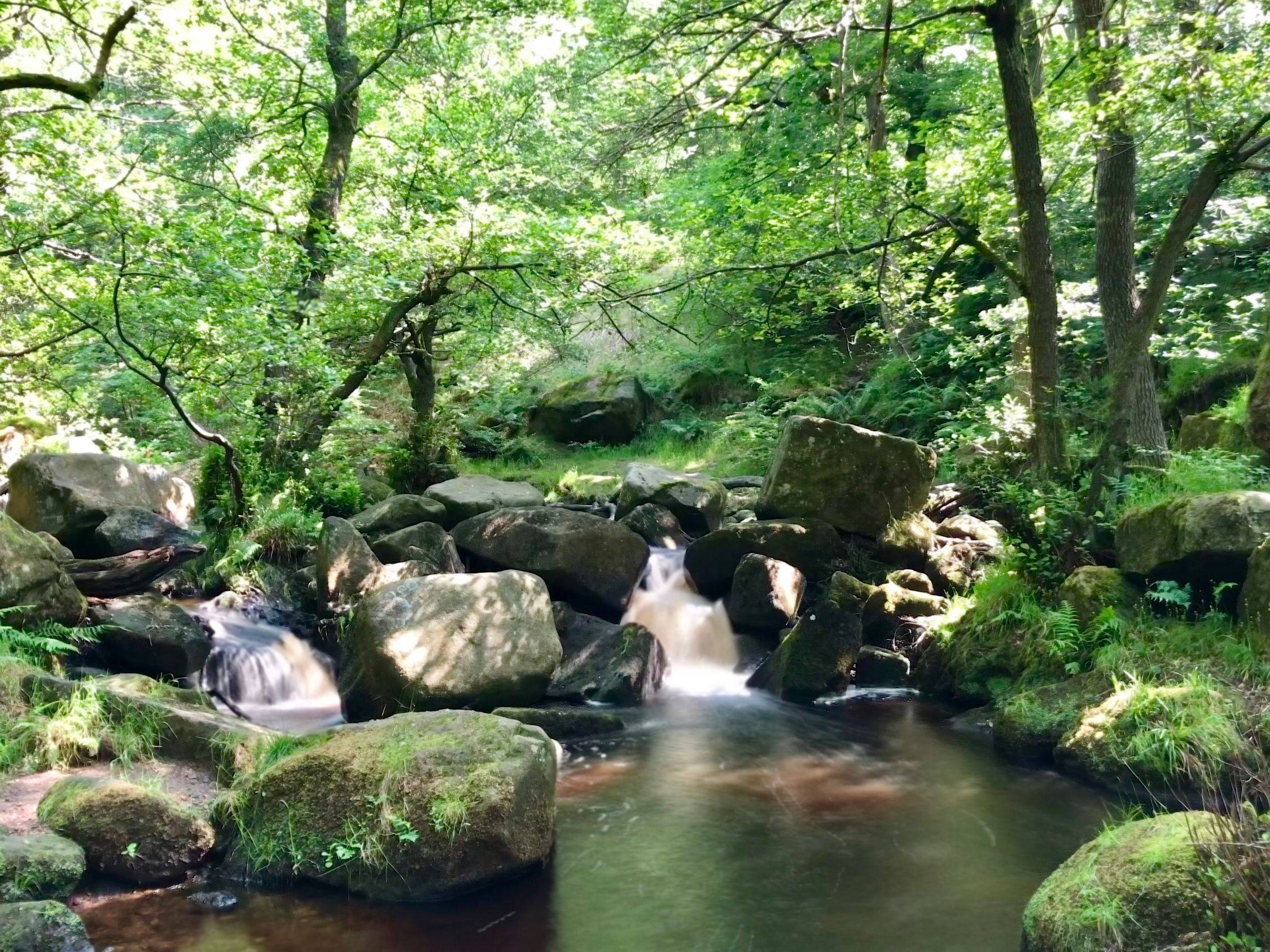 Gorgeous Padley Gorge Peak District Ancient Woodland Gorgeous Padley Gorge Peak District Ancient Woodland