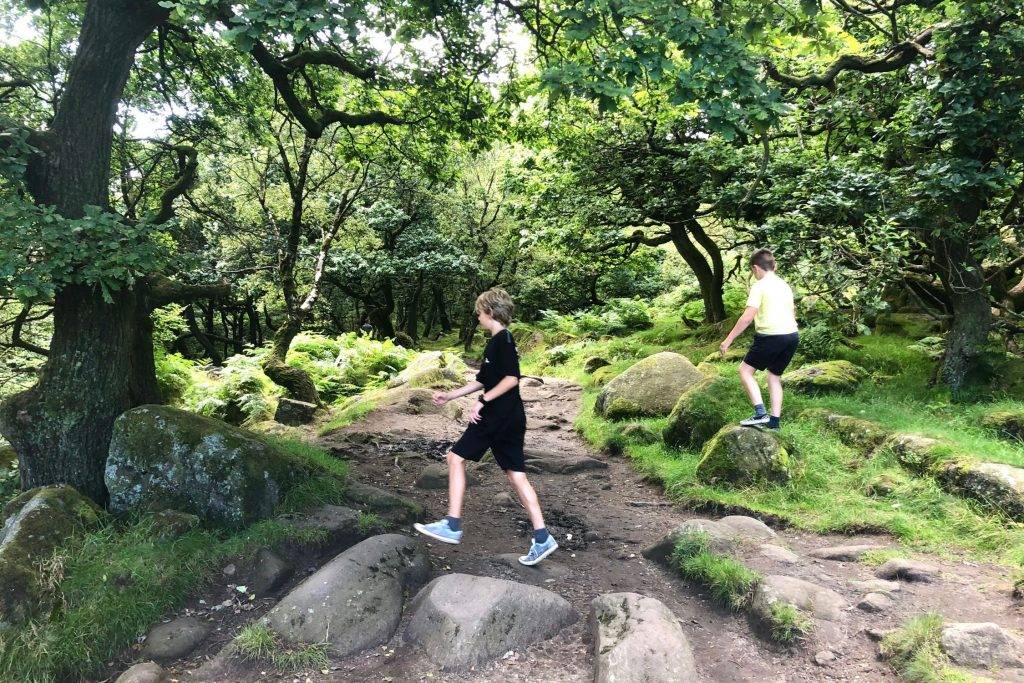 Padley Gorge