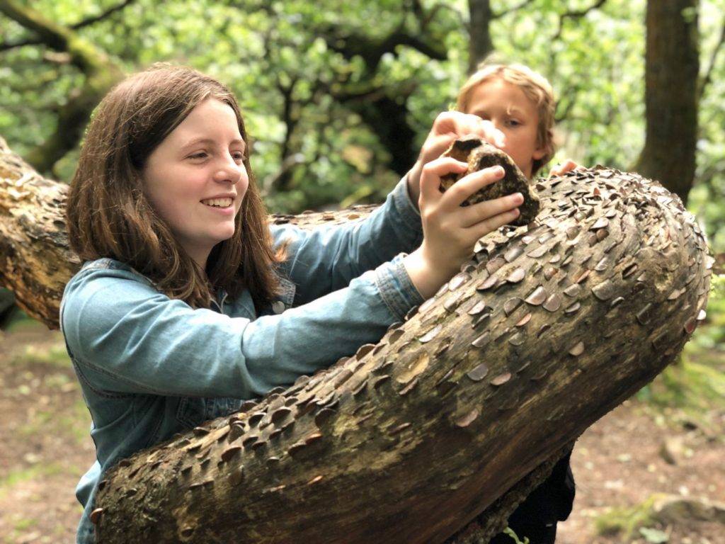 Exciting Kids' Walk: Padley Gorge (2 miles) nature walk