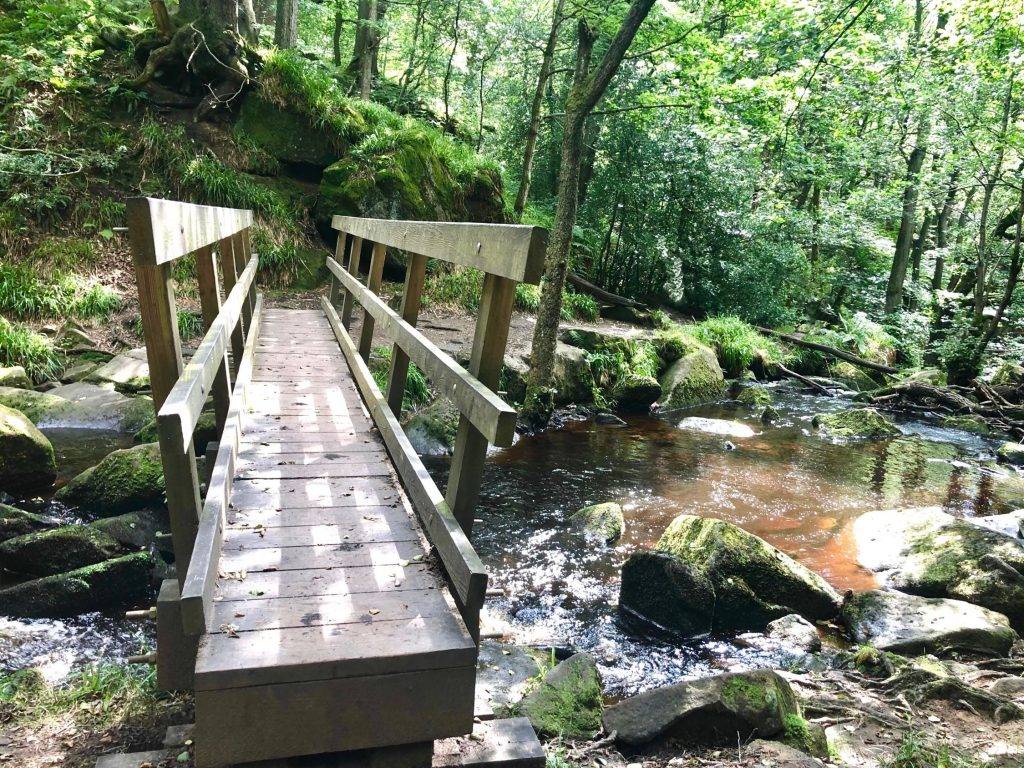 Padley Gorge