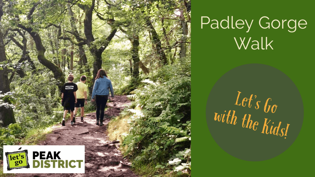 Padley Gorge Kids Walk