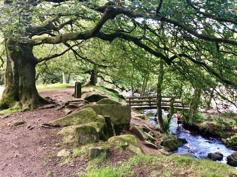 Padley Gorge (2 miles) near Beeley