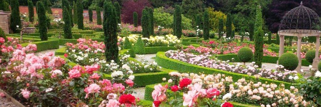 Hopton Hall Rose Gardens