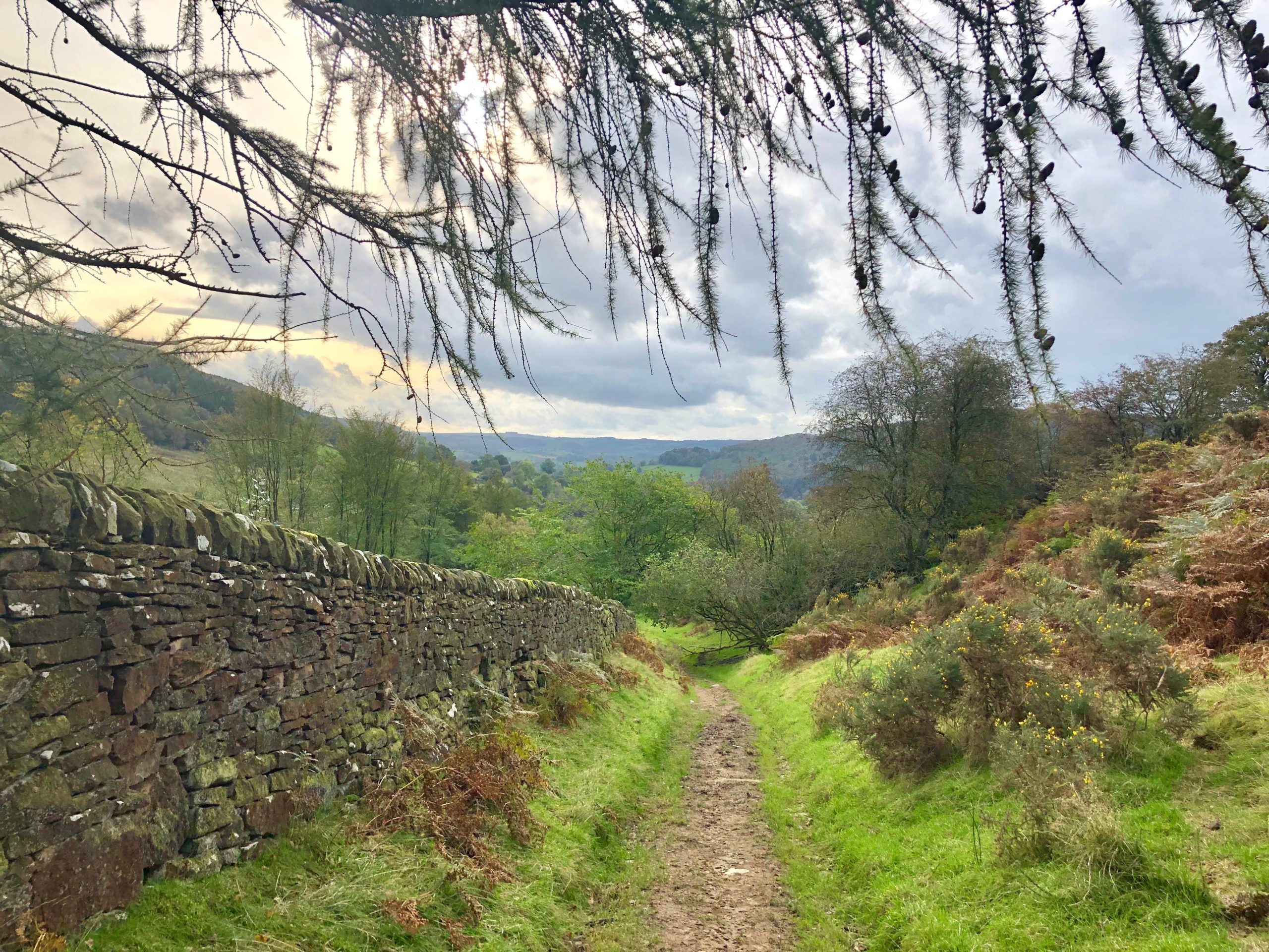 Beeley walk Peak District