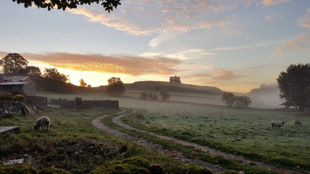 Dovedale Cottages