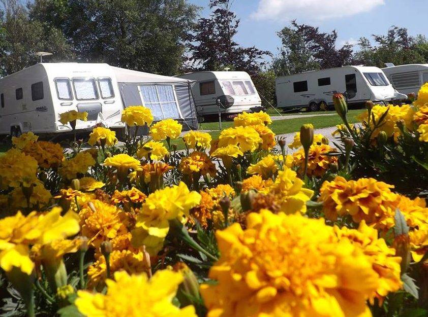 Longnor Wood Holiday Park 