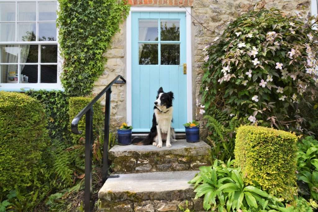 Canine cottages peak sales district