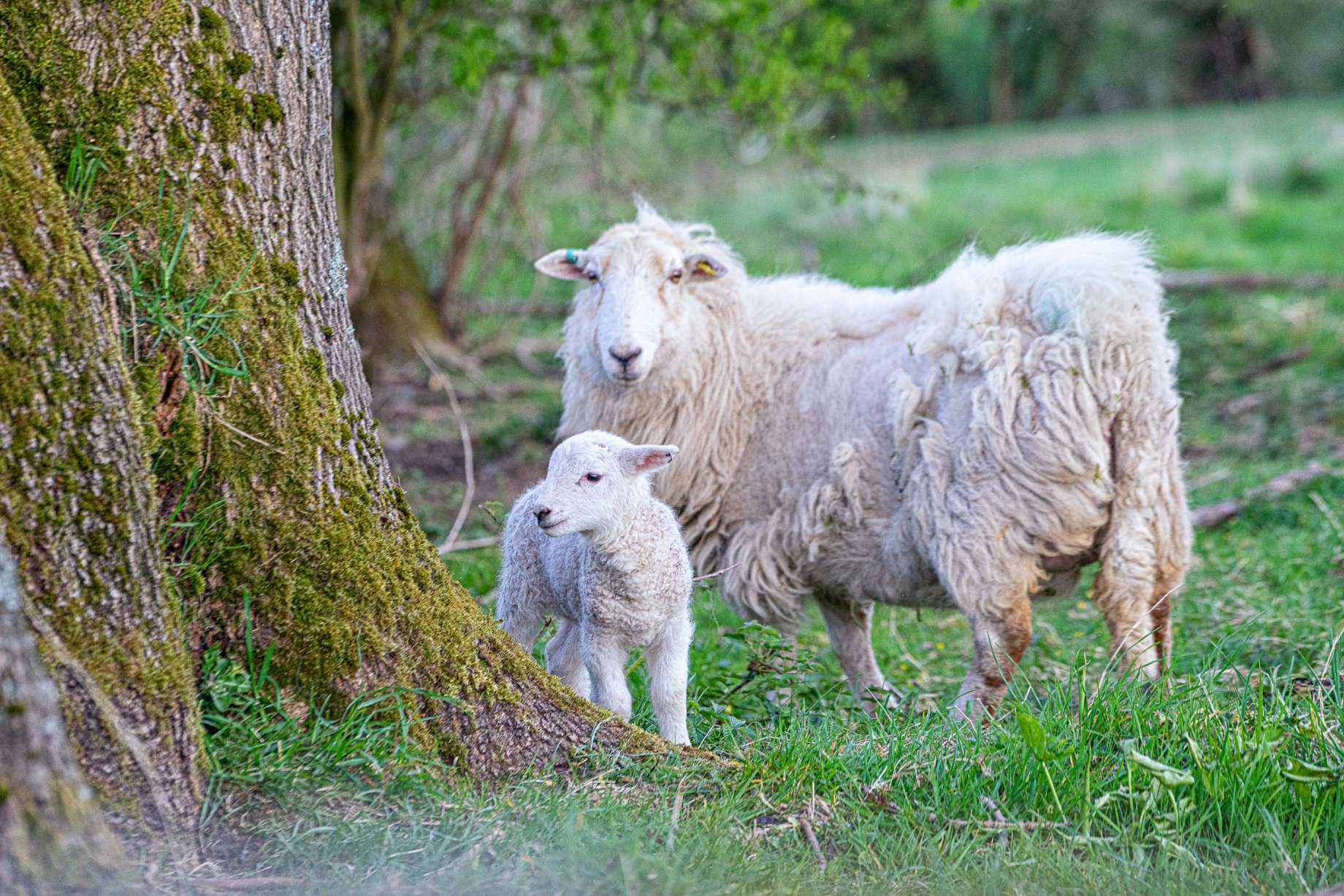 1 Inspiring Peak District Blog By Lets Go Peak District