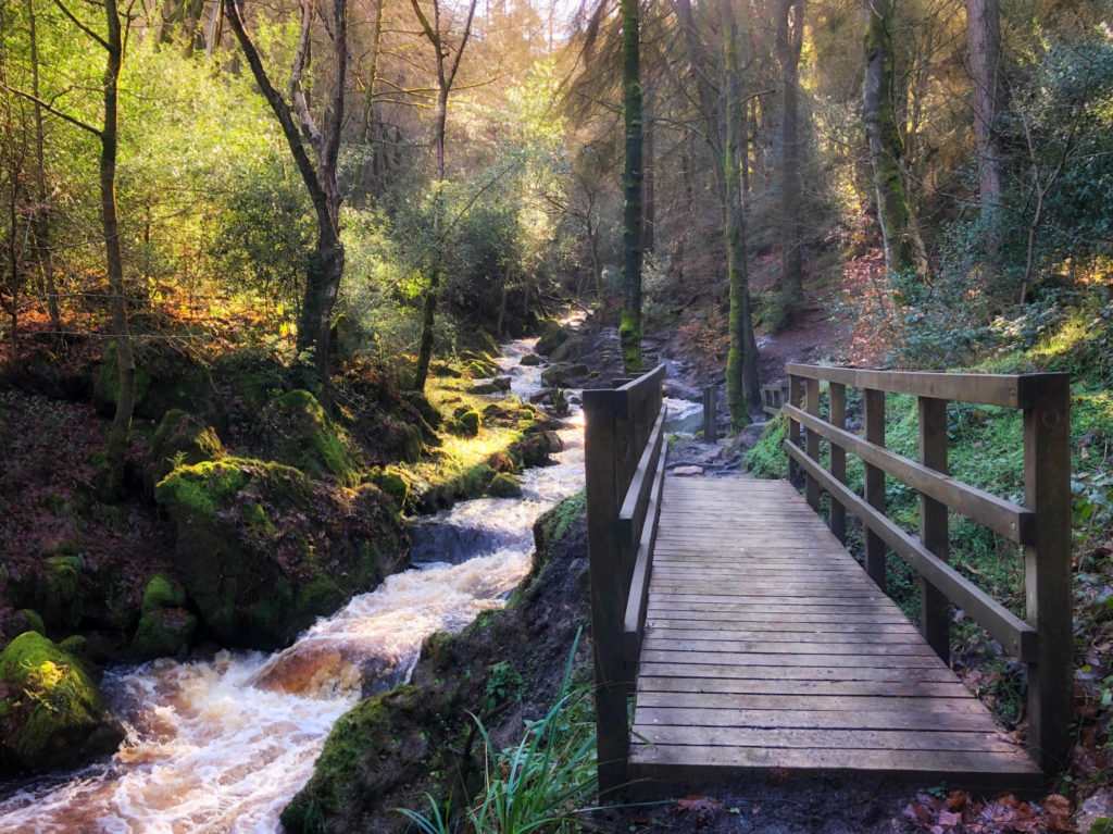 5 Best Peak District Walks : Wyming Brook Walk