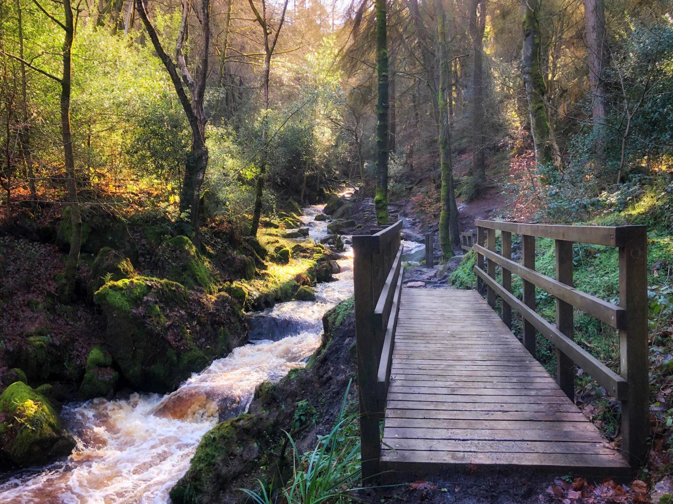 Wyming Brook