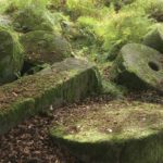 The Intriguing Millstones of the Peak District 1