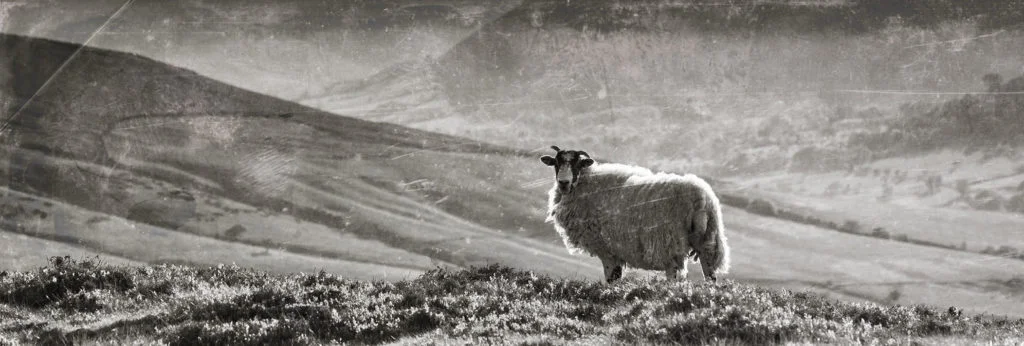 The Peak District - Archive Film (1954) 3 Peak District National Park Film