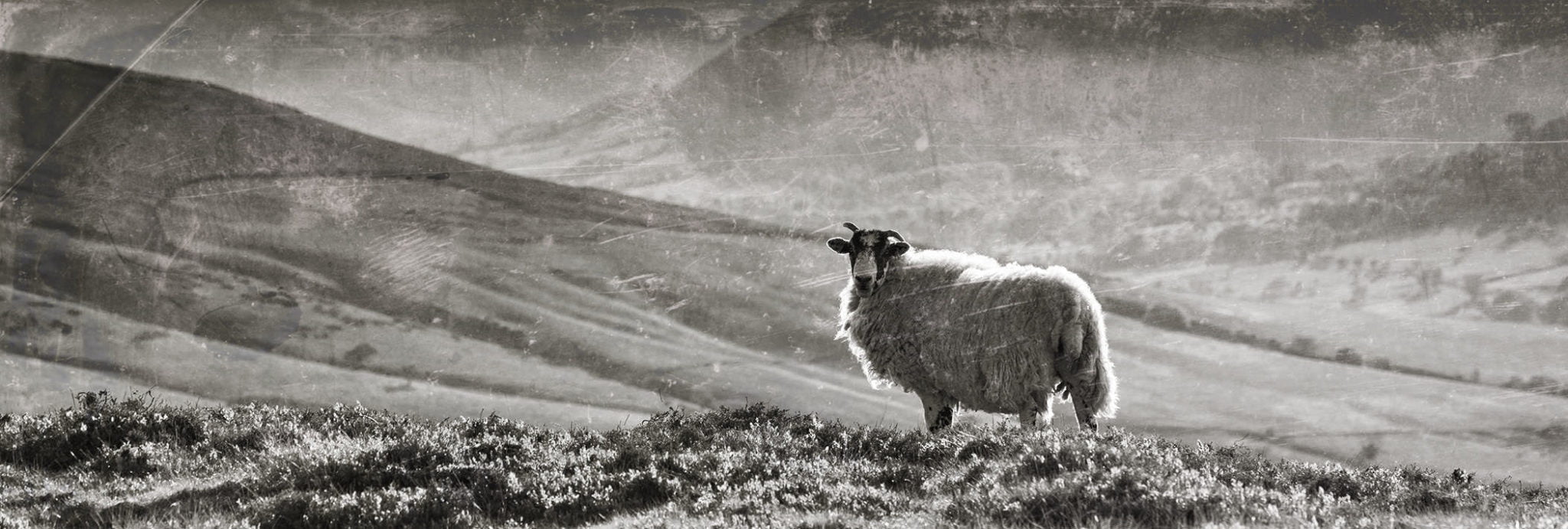 Amazing Peak District National Park Film (1954)