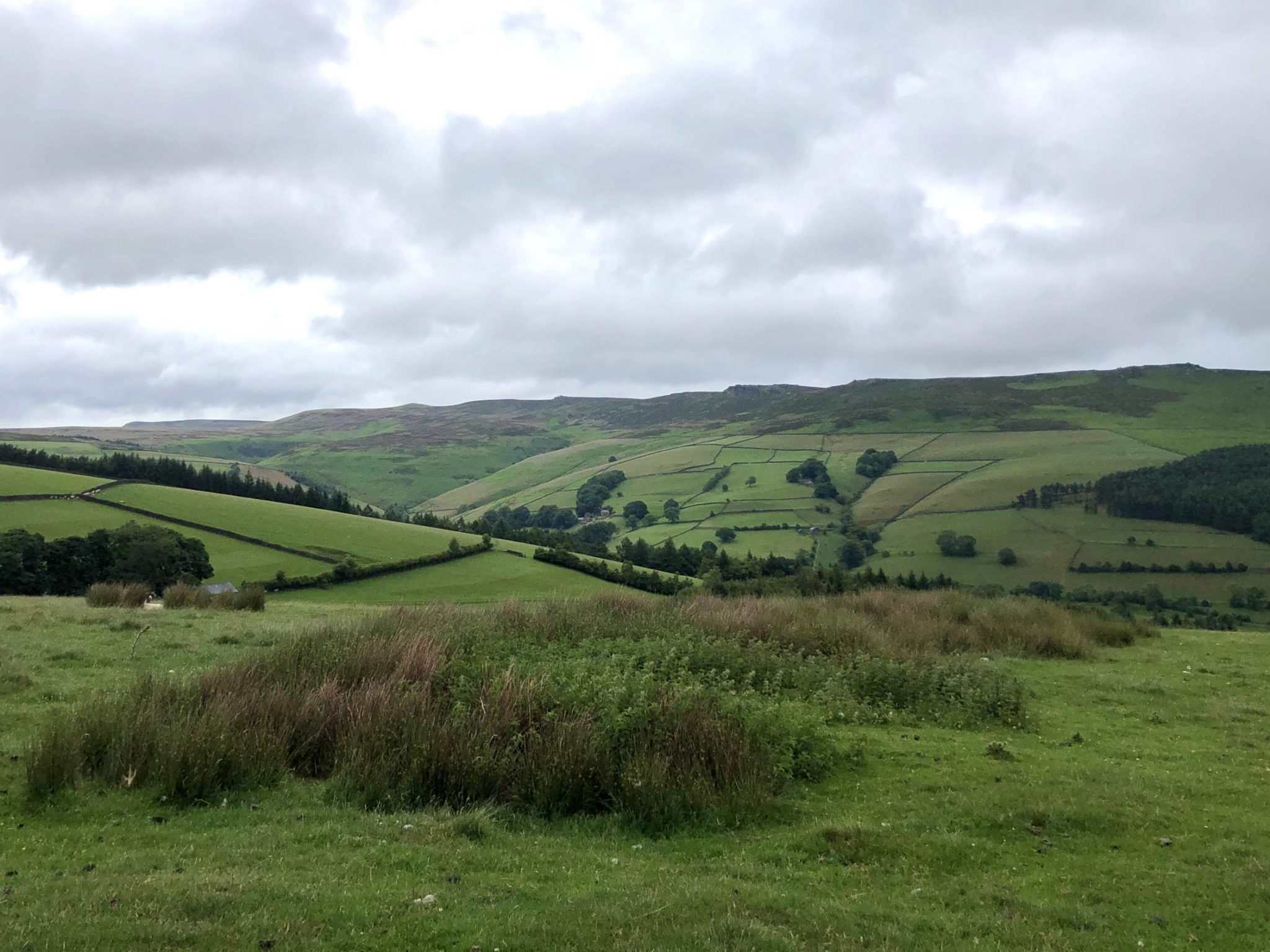 The Secret Side of Ladybower Walk (8.1 miles)