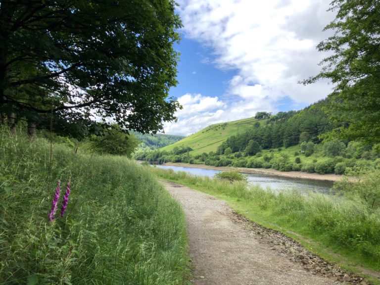 The Secret Side of Ladybower Walk (8.1 miles) near Hope