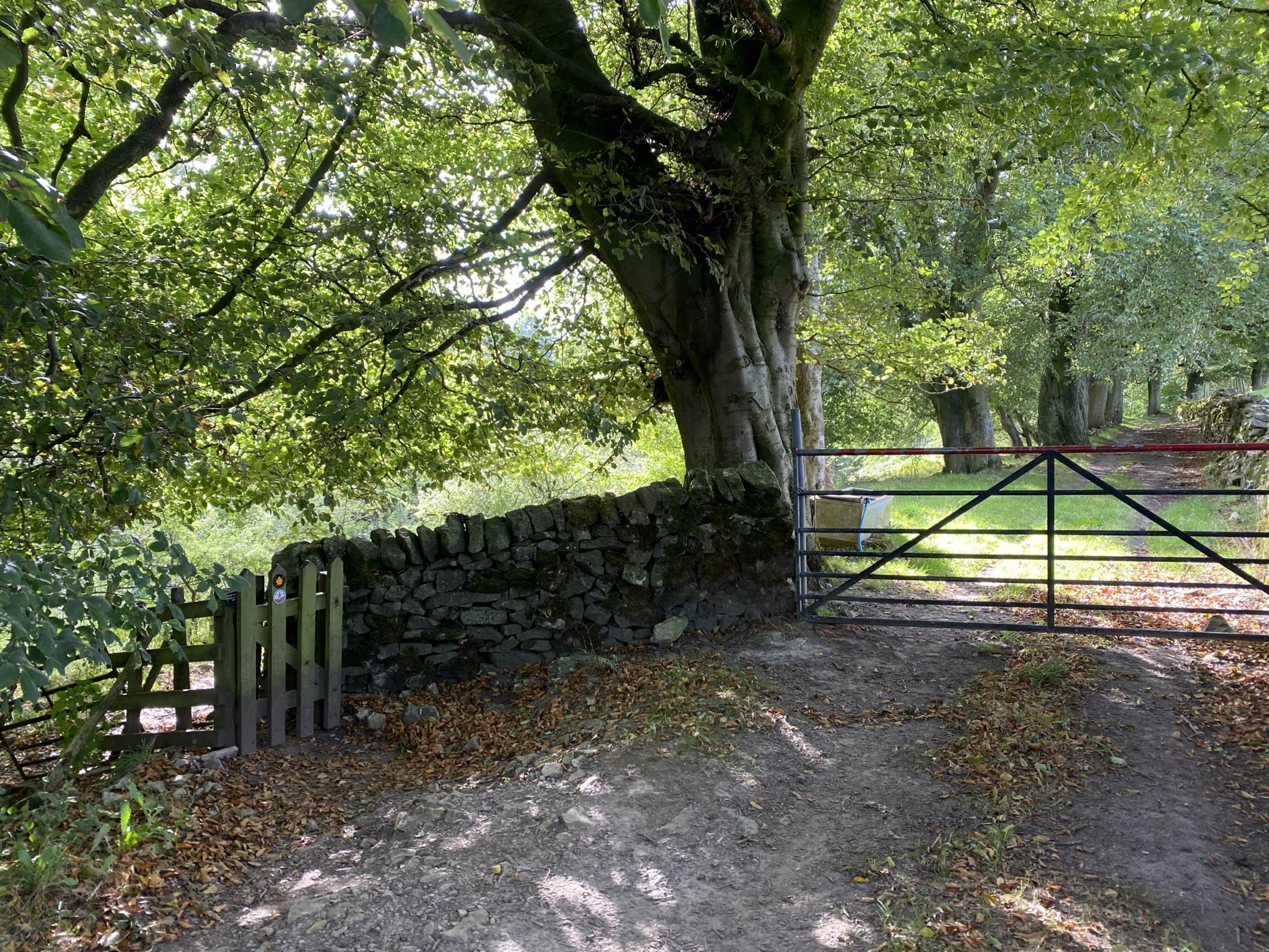 Tideswell Walk via Miller’s Dale 1