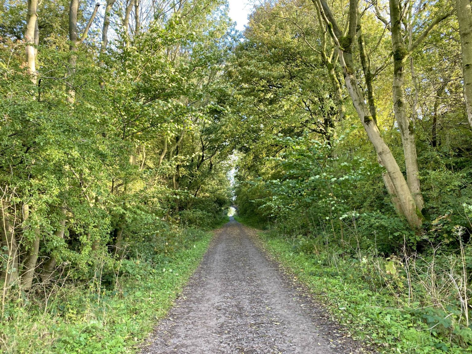 The Tissington Trail