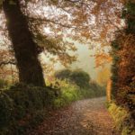 Autumn-Grindleford-Lane