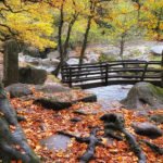 70 Best Days Out in the Peak District: Padley Gorge 4