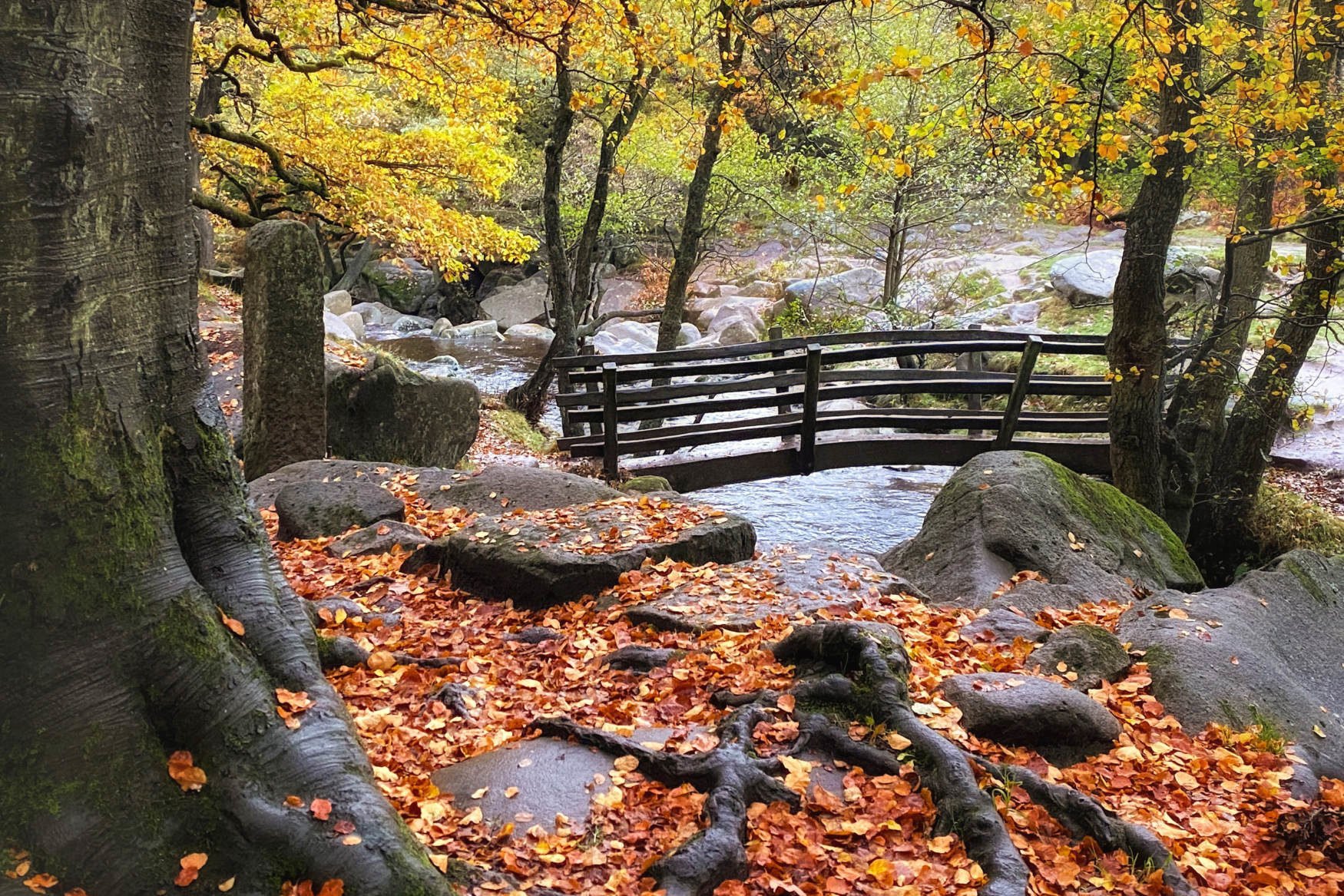 70 Best Days Out in the Peak District: Padley Gorge 1