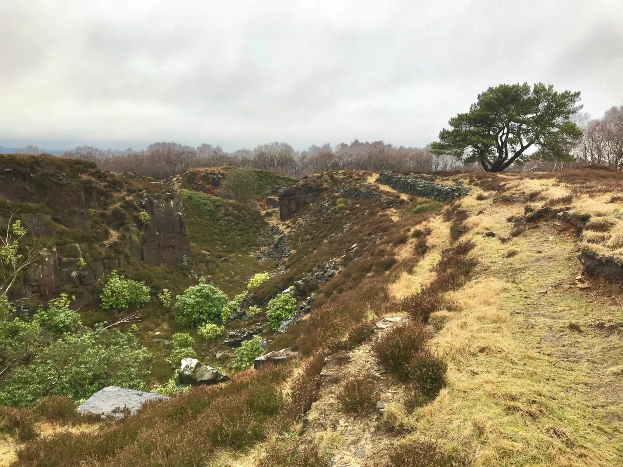 Nine Ladies Stone Circle | Beautiful Bronze Age site in the Peak District