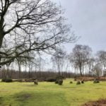 70 Best Days Out in the Peak District: Nine Ladies Stone Circle 4