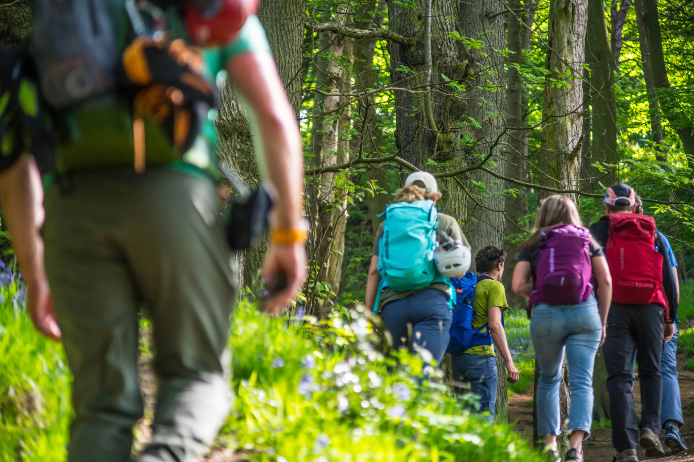 The Complete Guide to Walking in the Peak District: 40+ Best Walks for All Abilities