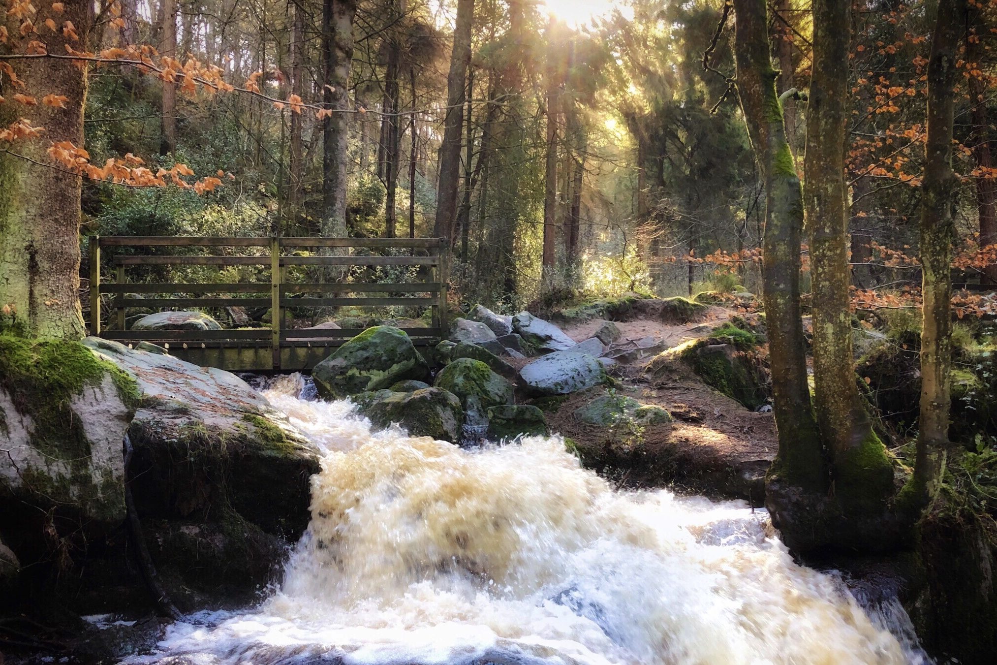70 Best Days Out in the Peak District: Wyming Brook 1