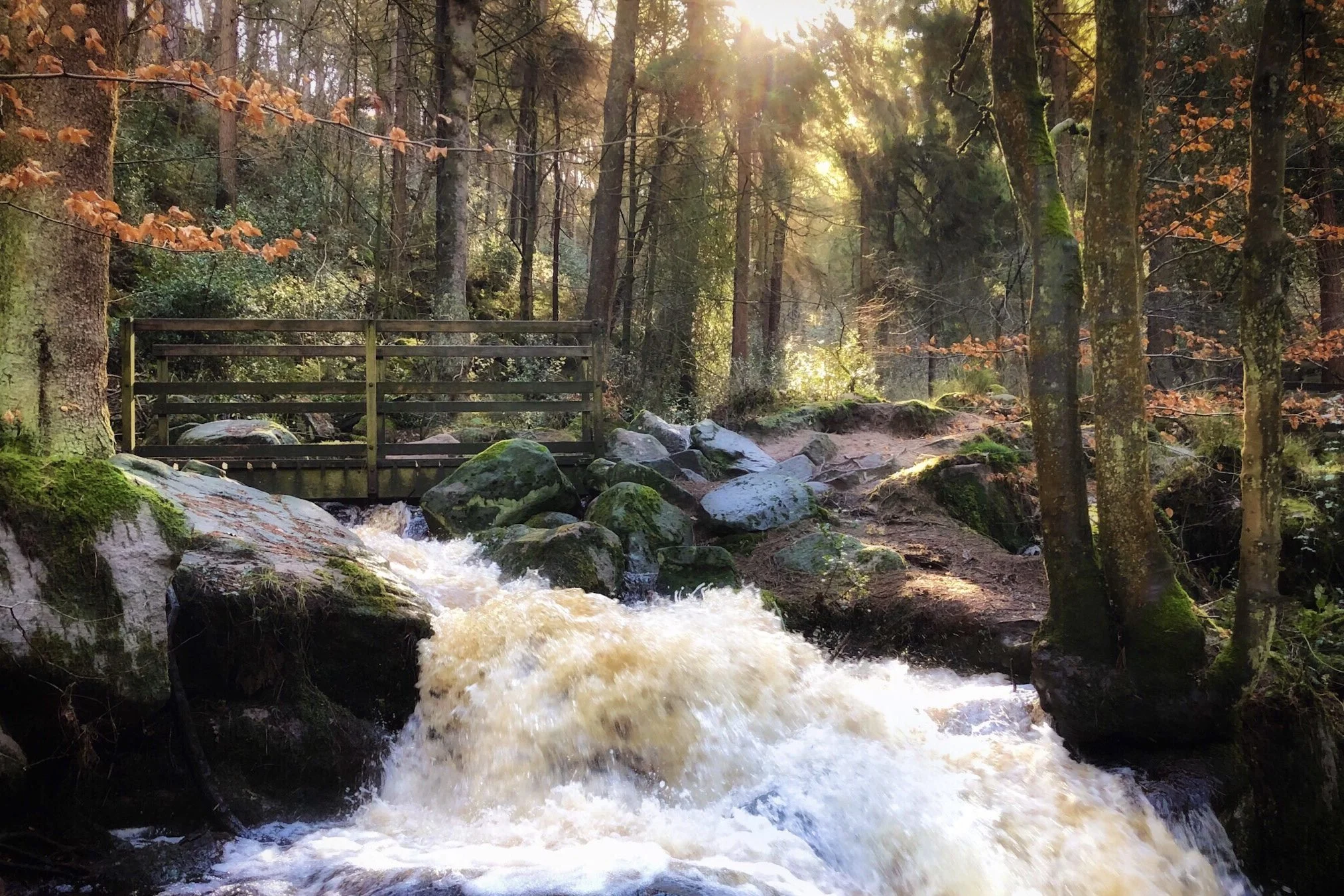 70 Best Days Out in the Peak District: Wyming Brook 3 70 Best Days Out in the Peak District: Wyming Brook 3