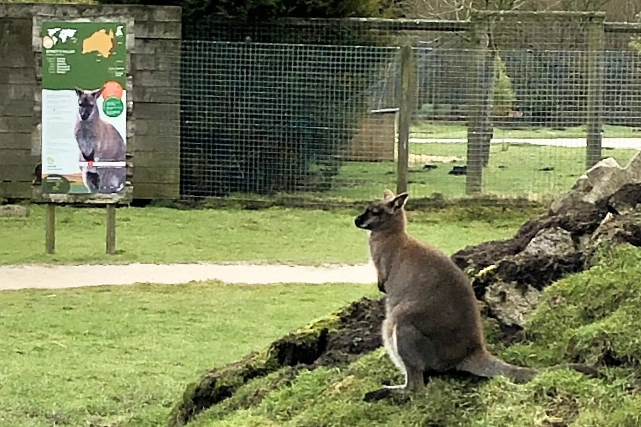 Peak Wildlife Park