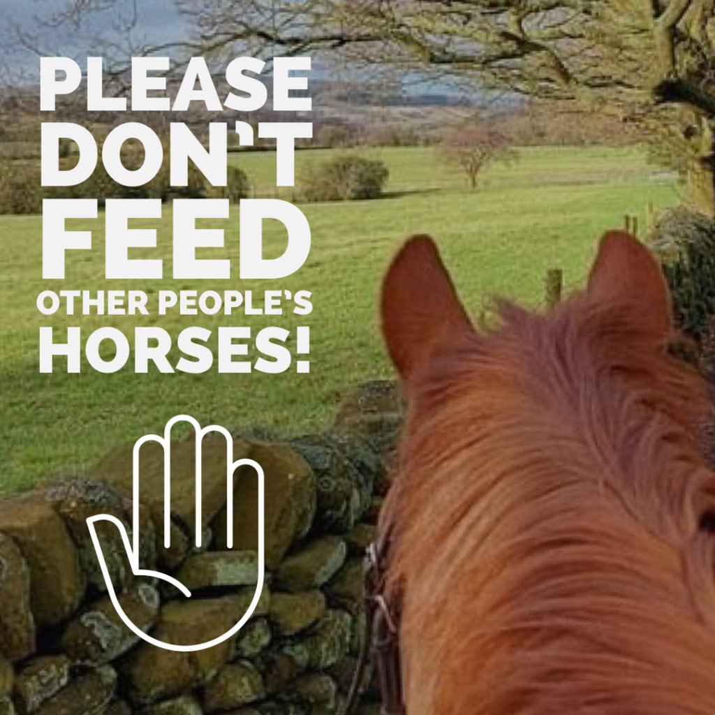 Please Don't Feed Other People's Horses! 1