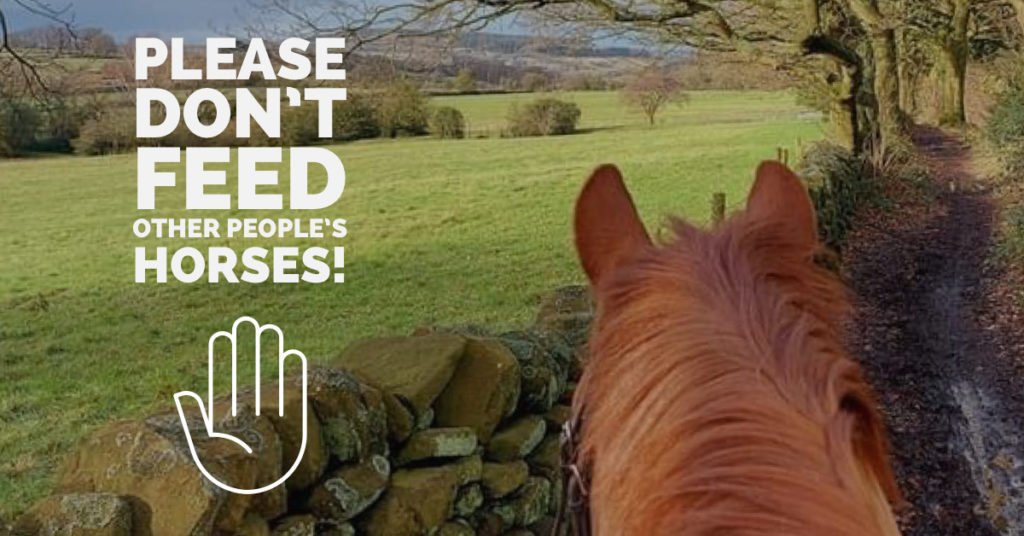 Please Don’t Feed Other People’s Horses!