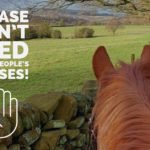 Please Don't Feed Other People's Horses! 1