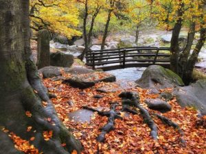 Top 5 Autumn Peak District Walks 3