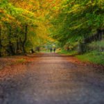 Top 5 Autumn Peak District Walks