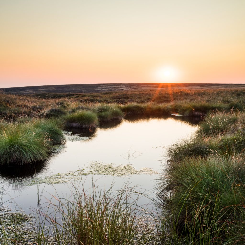 Blanket bogs are worth protecting - floods 1